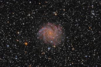 NGC6946 - Галактика Фейерверк
