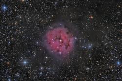 IC5146 - Туманность Кокон